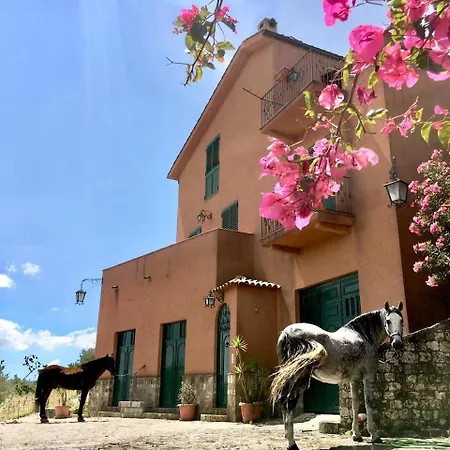 Guest house Country Sicily - Agrigentoholidays