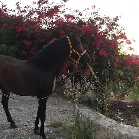 Country Sicily - Agrigentoholidays Gasthof